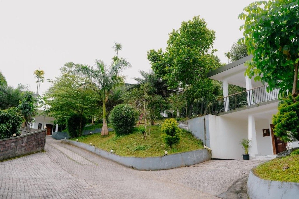 Scenic Driveway & Hillside Gardens